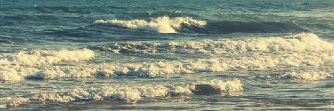 Nn👩🏻‍💻 banner