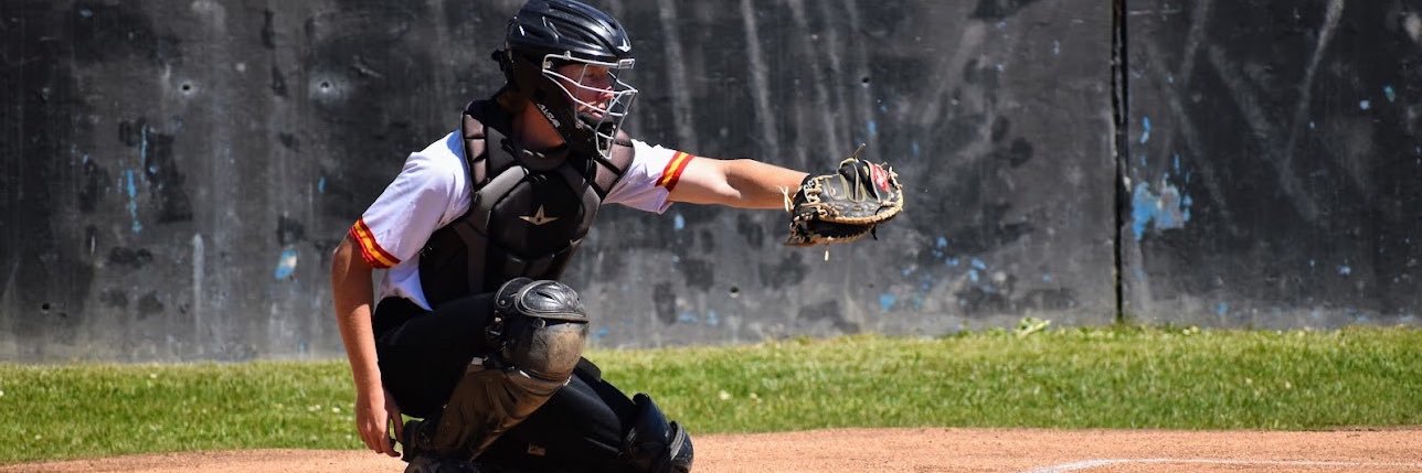 Ryan Naillon banner