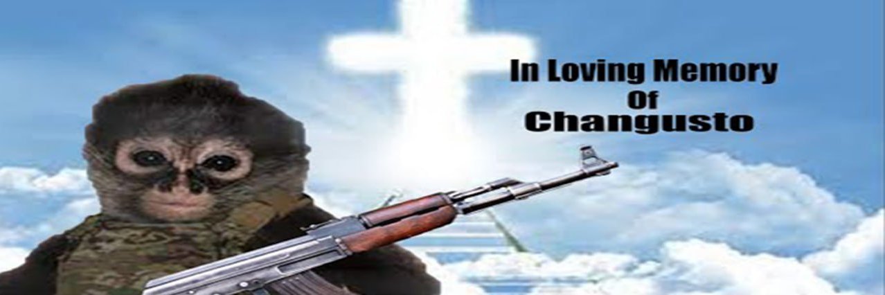 EL CHANGUITO (Meme) banner