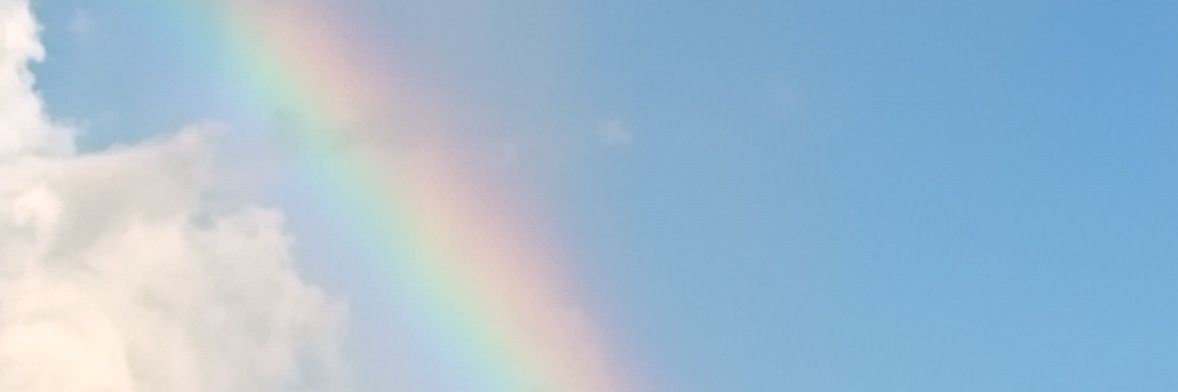 ilvd92's profile banner image