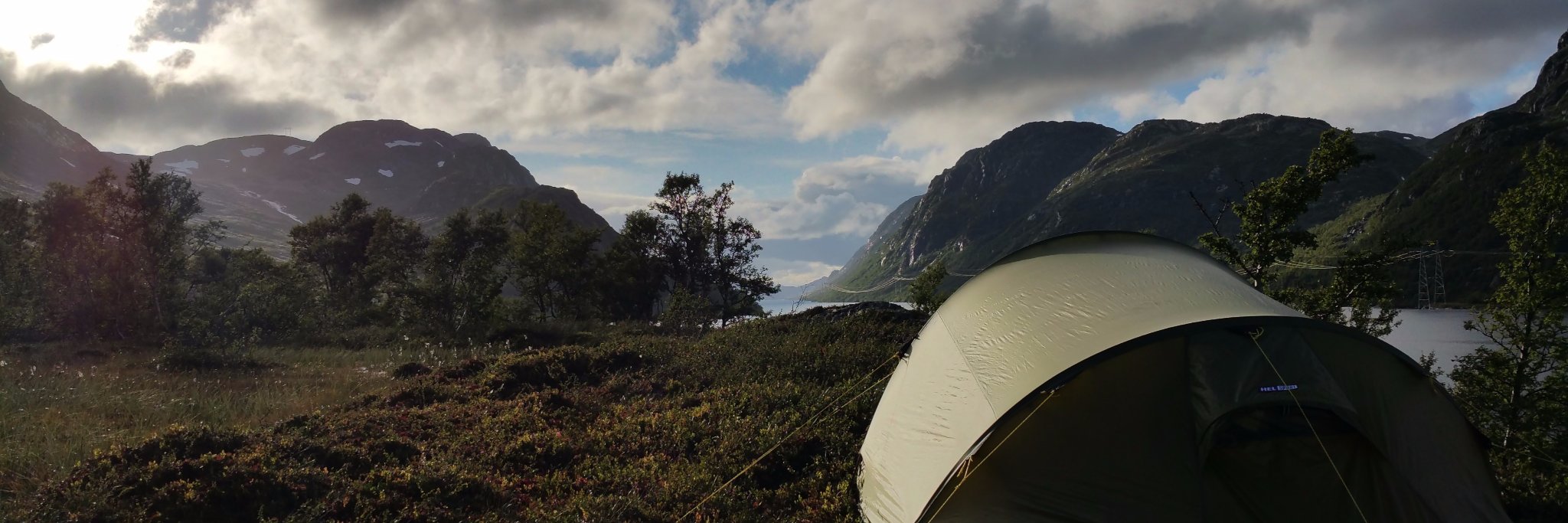 Steinar Vikholt banner