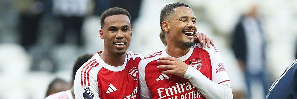 Luffy D.Gooner banner