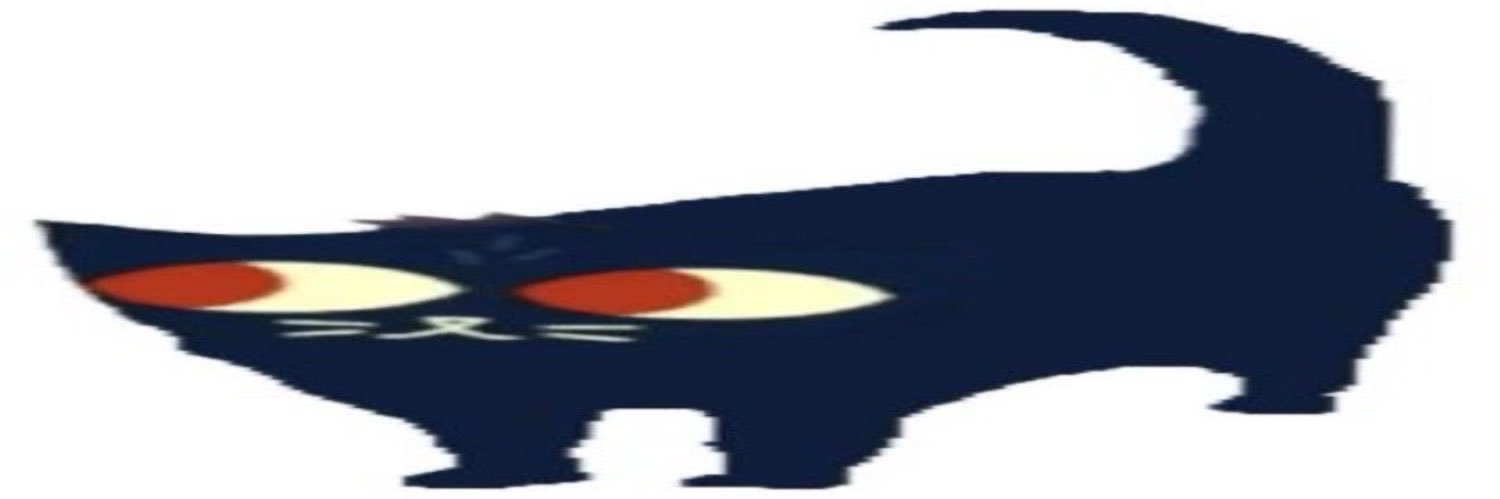 silhou's banner