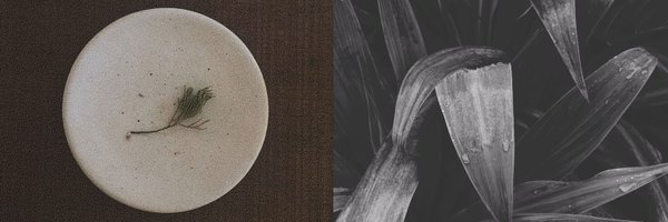 somnetist Profile Banner