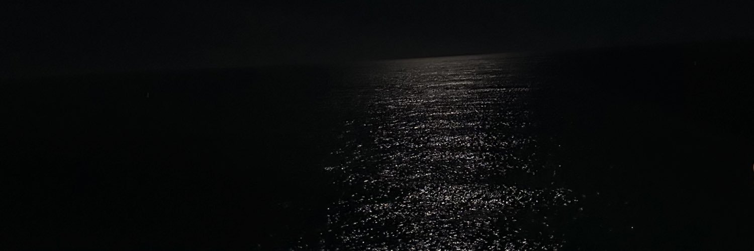 zennhm's profile banner image