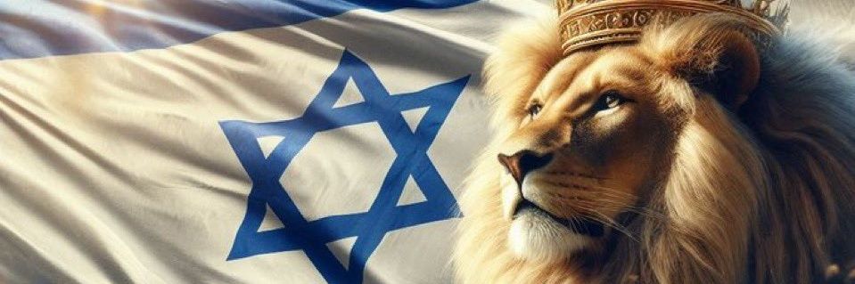 Zoe Ariella 🇮🇱✡️🎗️🧡's banner