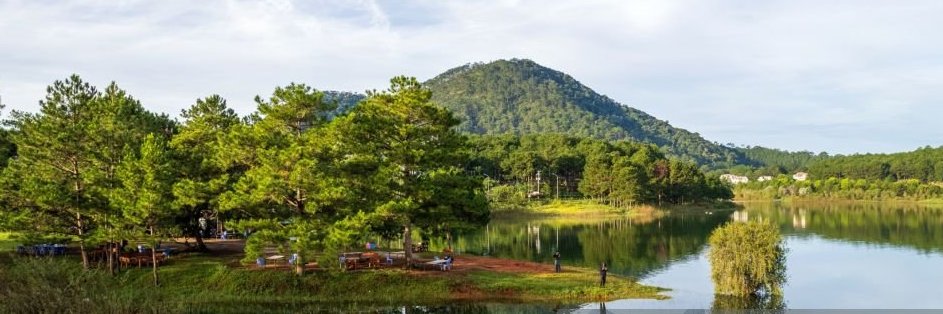 Bùi Quốc Toàn | Henry banner