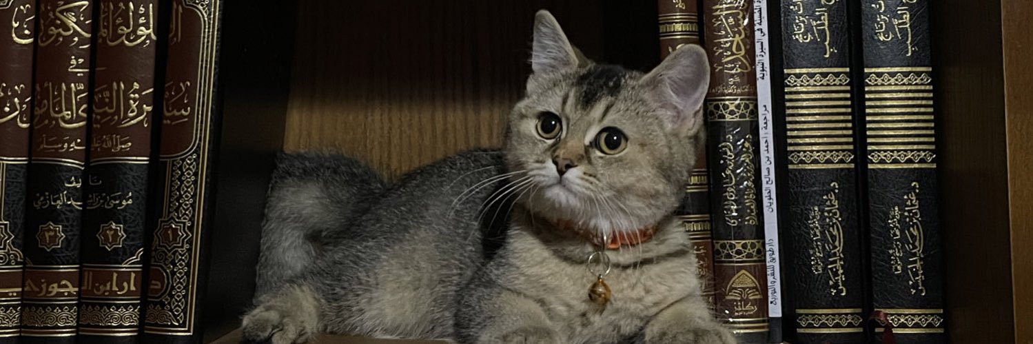 سـمو 🇸🇦 banner