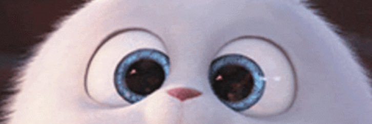 いぶ banner