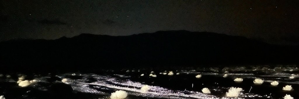 iwoj's profile banner image