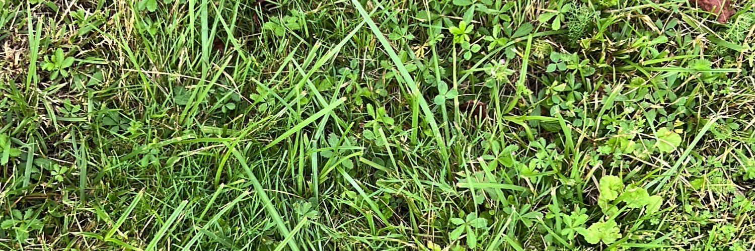 Express Yourself banner