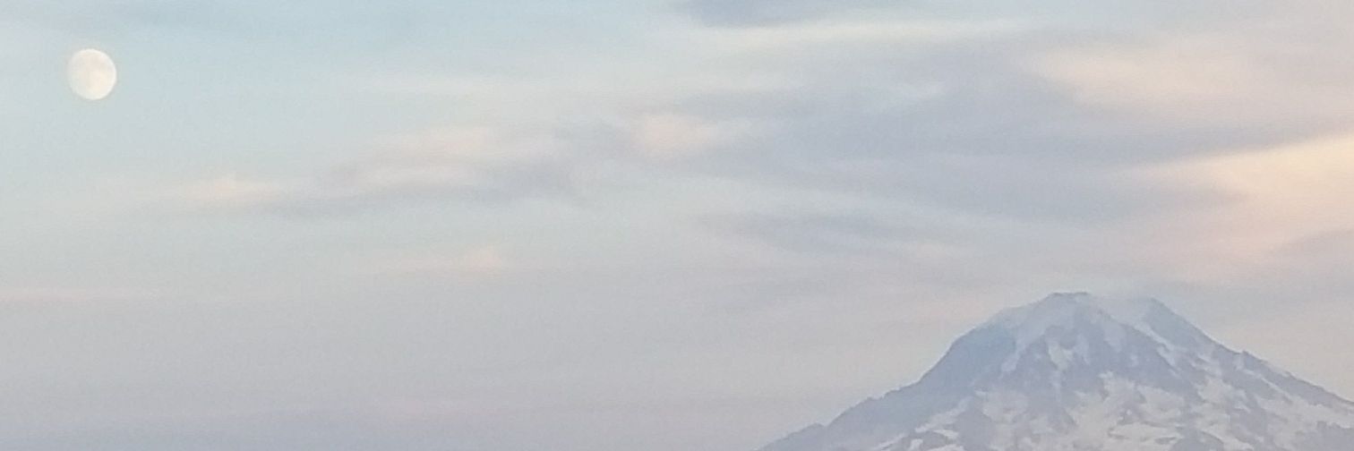 MrSteve_V's profile banner image
