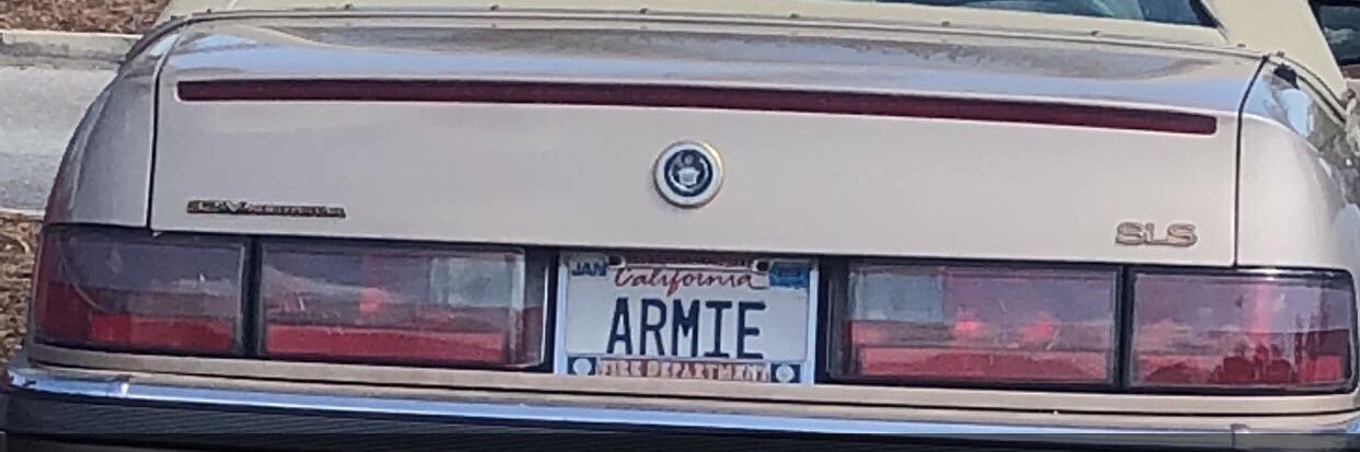 armadillly's profile banner image