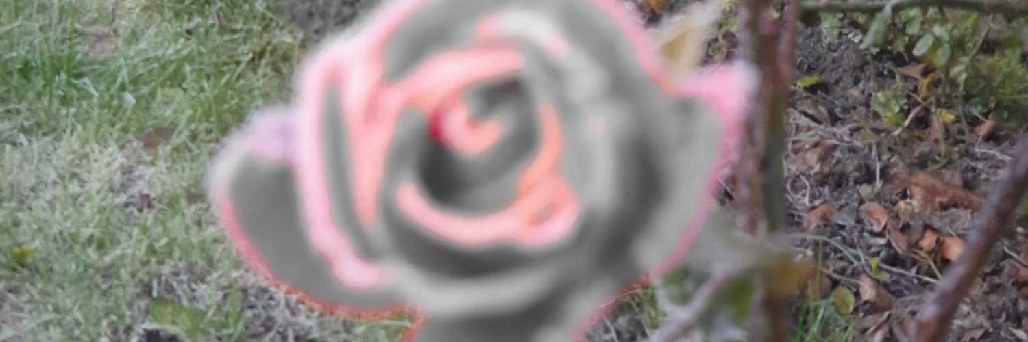 Tulli2013's profile banner image