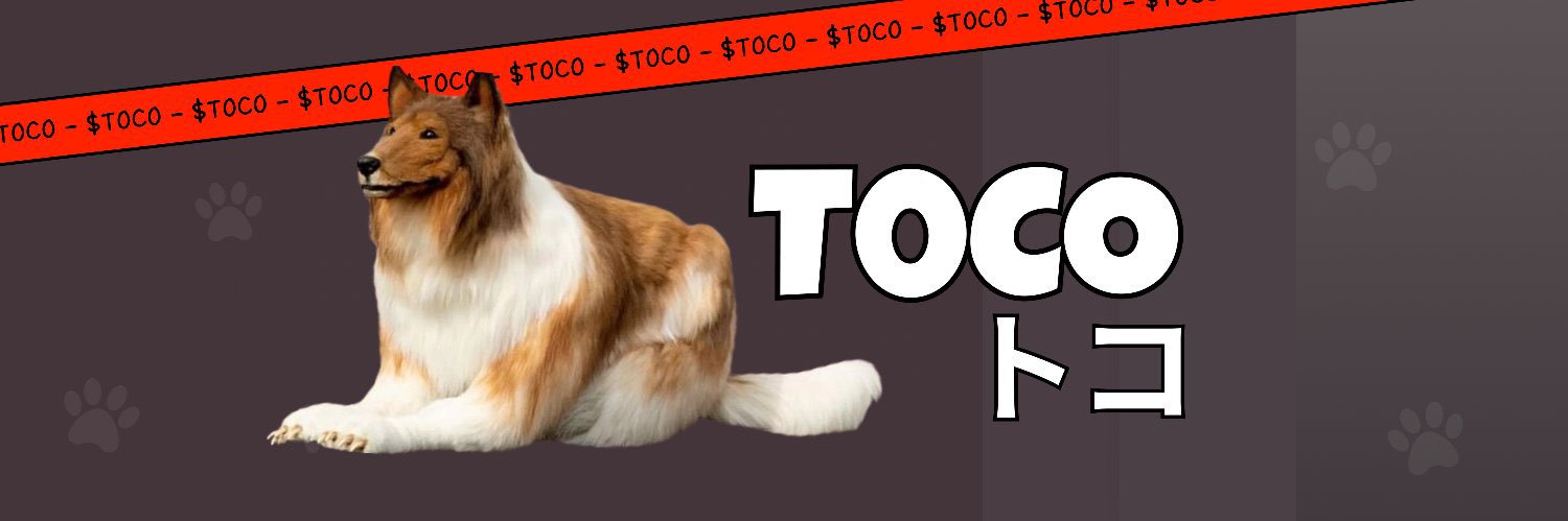 TOCO トコ 🐶 $TOCO banner