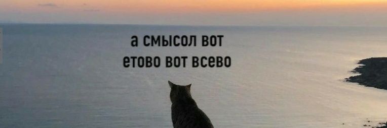 average твиттер enjoyer banner