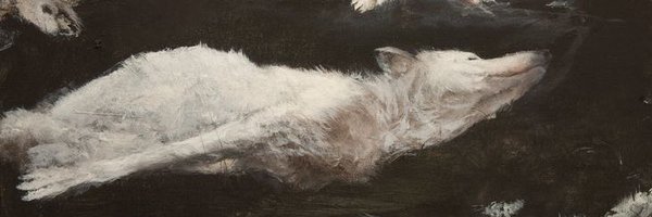 astormofswords_ Profile Banner