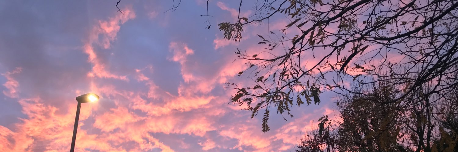 Elaineblues's profile banner image
