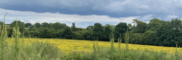 jschweppe Profile Banner