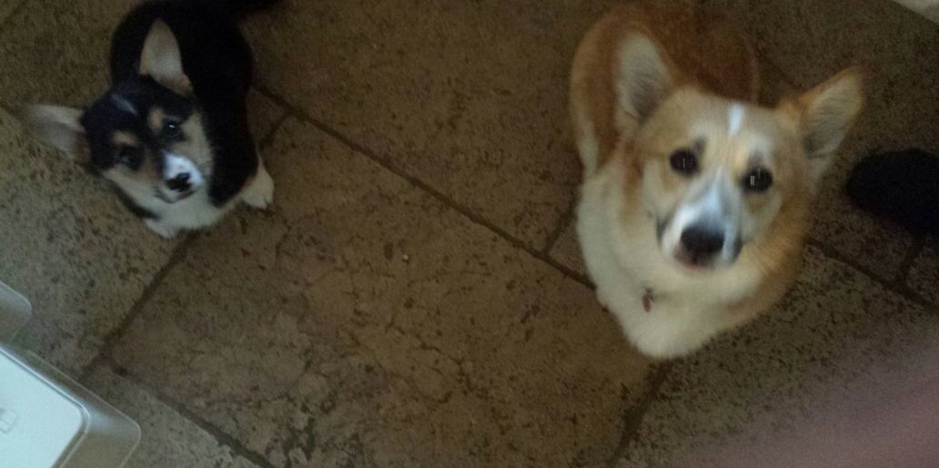 Jazzie n Tjokkie banner