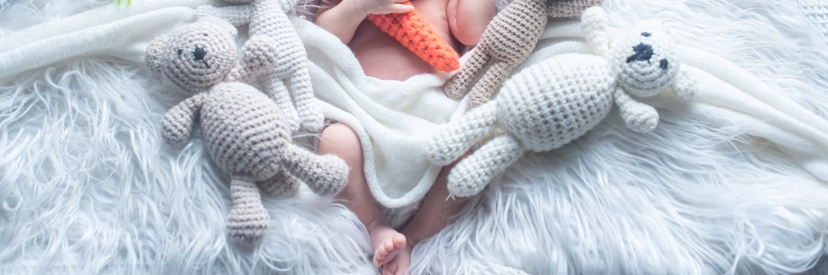 ちこ🦔⸒⸒ banner