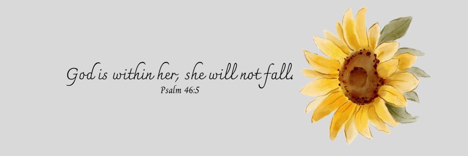 Taylor ⚡️ banner