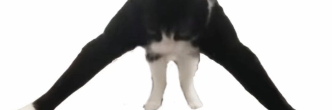 HanineExtreme's profile banner image