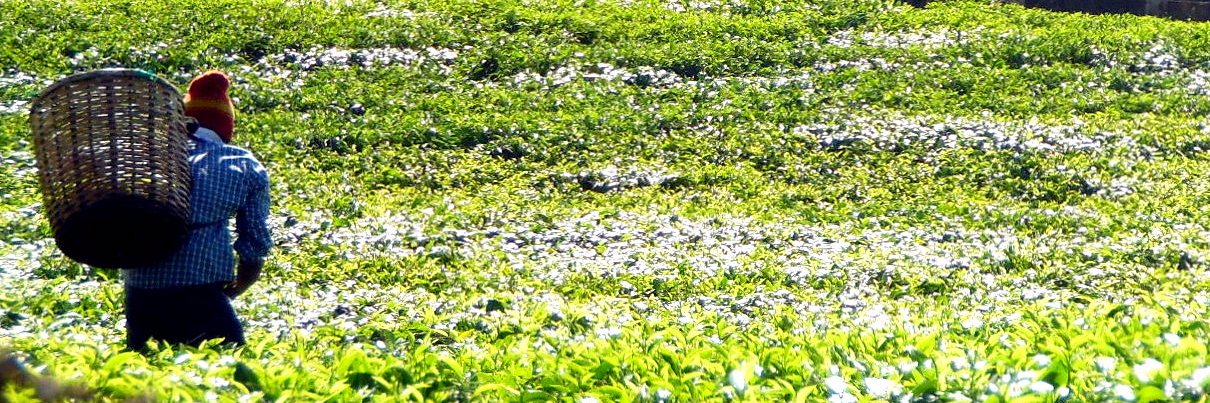 gnanaraj's profile banner image