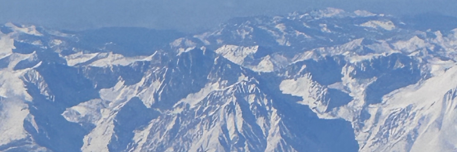 Not Another Tyler banner