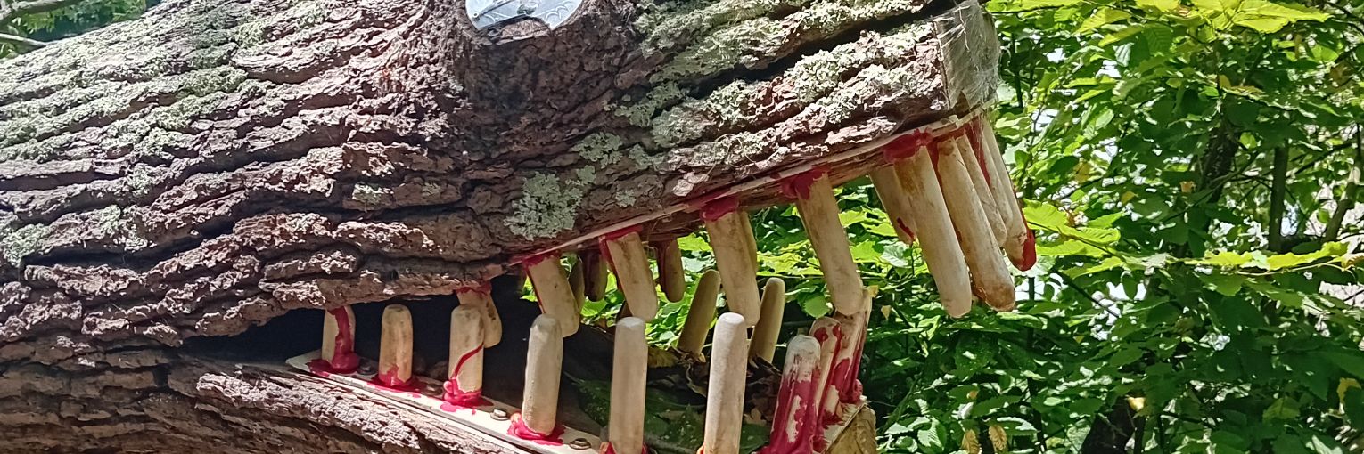 dandarling01's profile banner image
