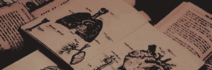 burkelied's profile banner image