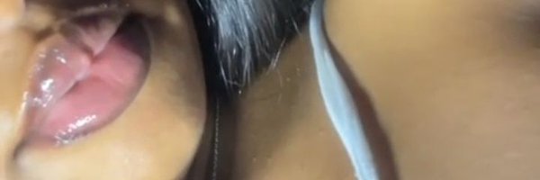 sharkell14 Profile Banner