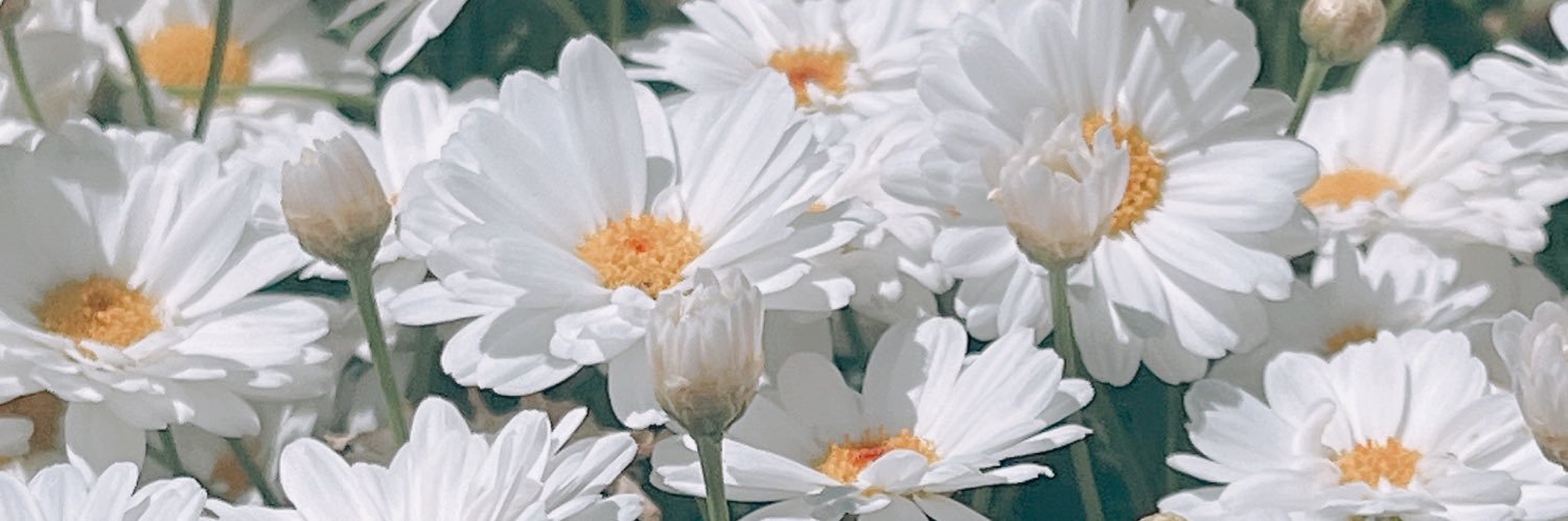 かおる@取引用 banner