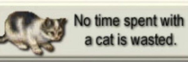 qqppaiai Profile Banner