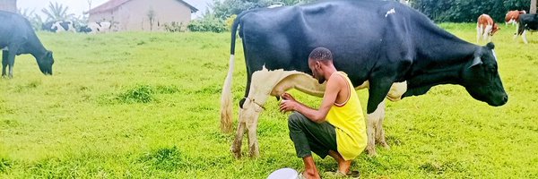 CnzCollins256 Profile Banner