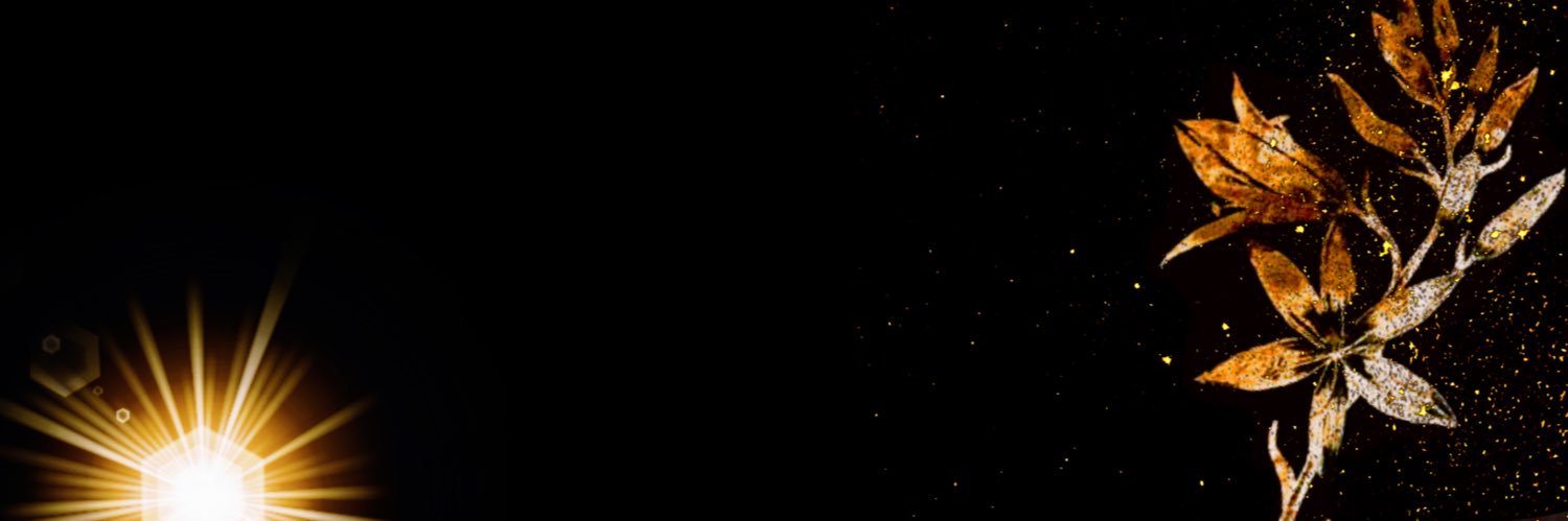𝐀𝐏𝐎𝐋𝐋𝐎. ⋆✴︎ banner