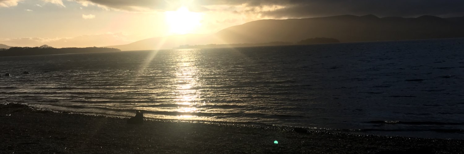 Cathryn D banner