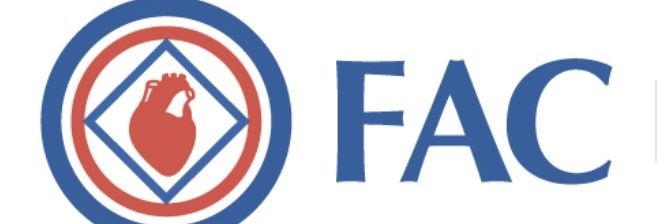 COMITE FAC JOVEN banner