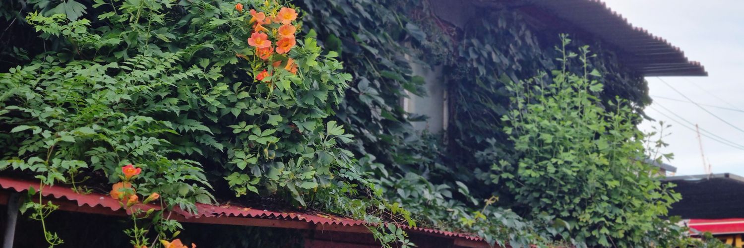 seesun_pic's profile banner image