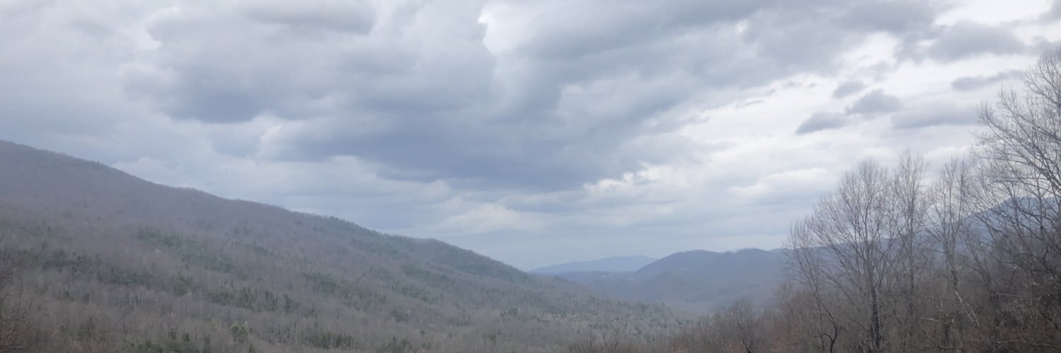 wedington's profile banner image