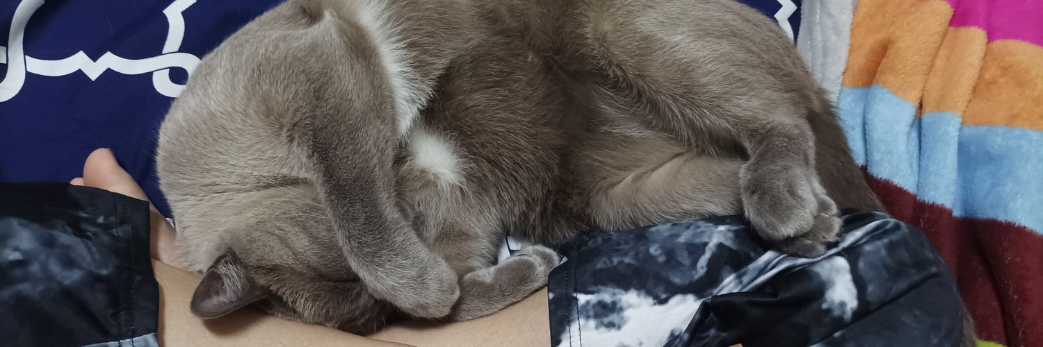 DevilG_P's profile banner image