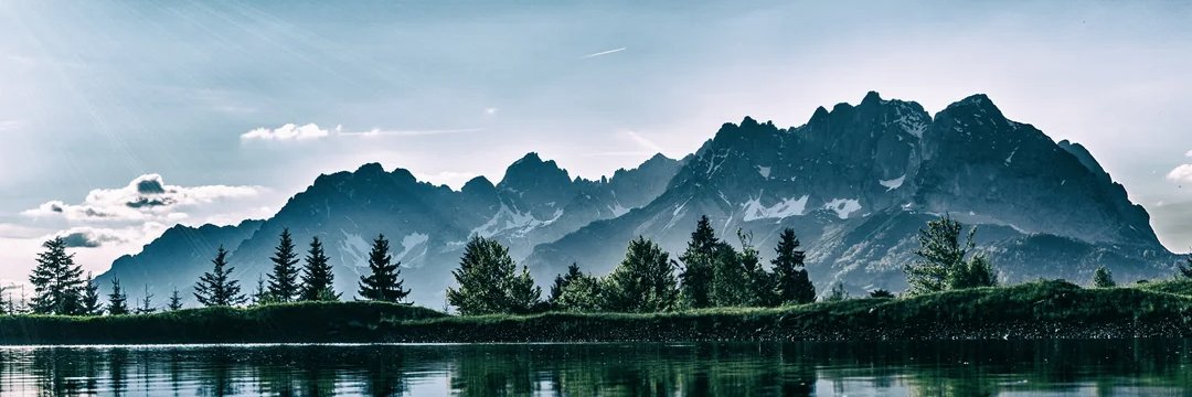 mr.everything banner