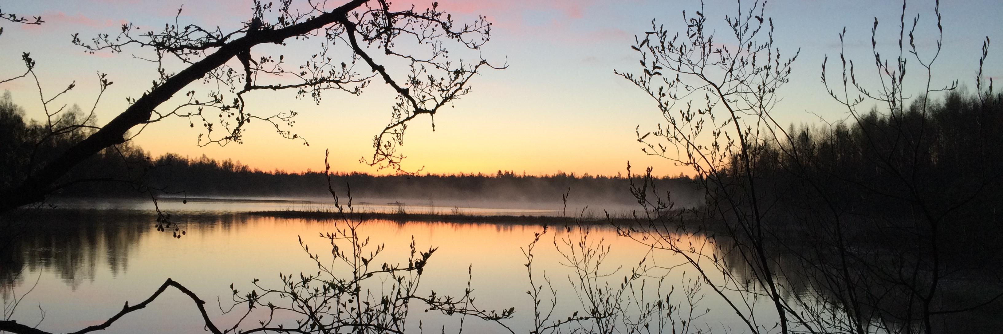 Samuli Haapala banner