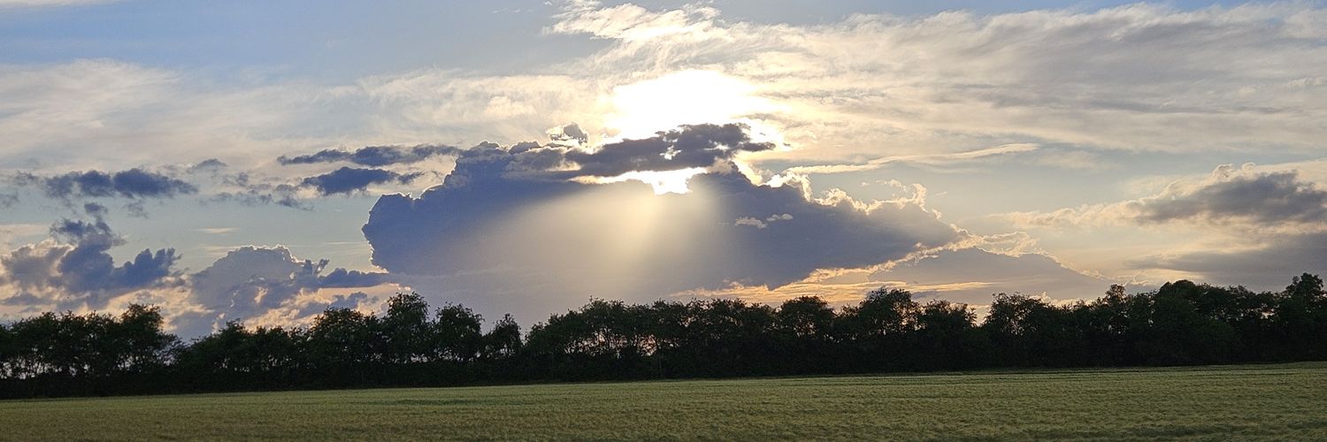 sanderonw's profile banner image
