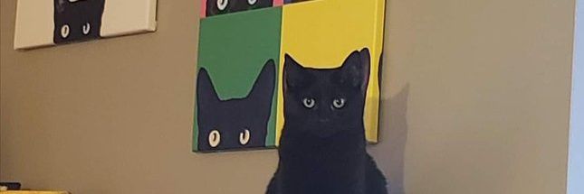EmaGimenez_'s profile banner image