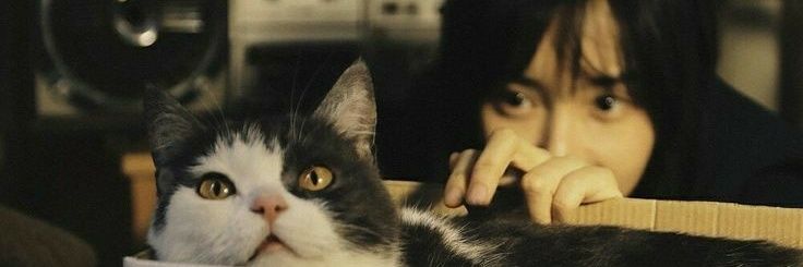 sephiree_6's profile banner image