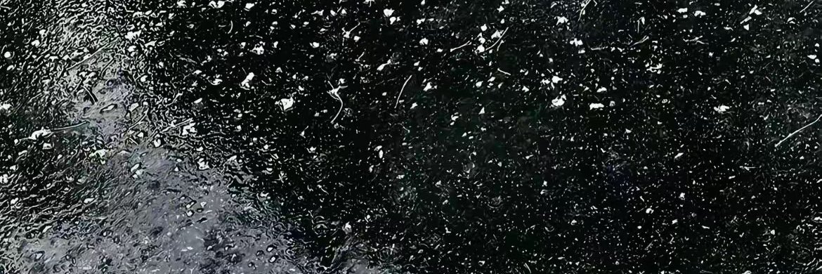 memedawang007's profile banner image