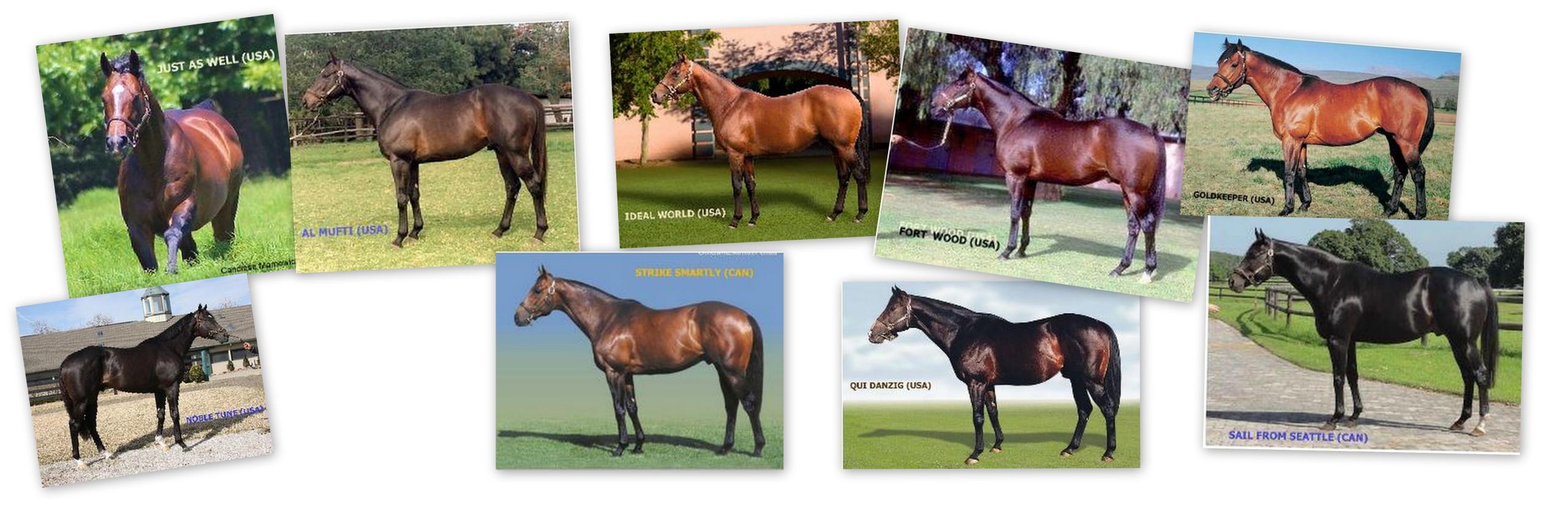 Alistair Brown banner