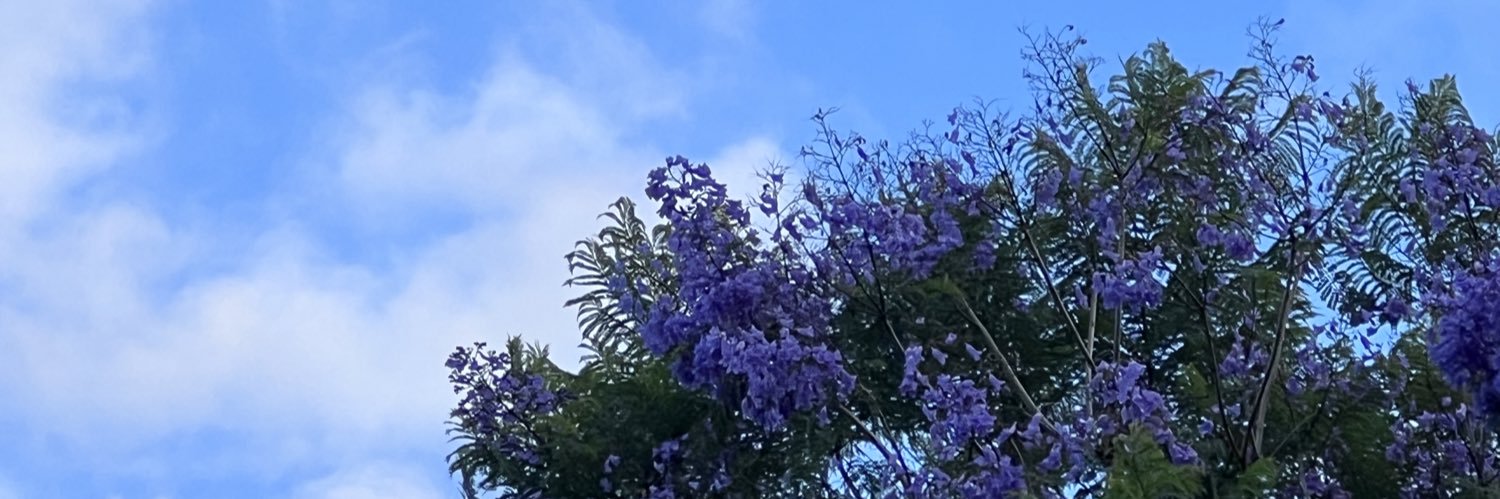 Wattle.'s banner