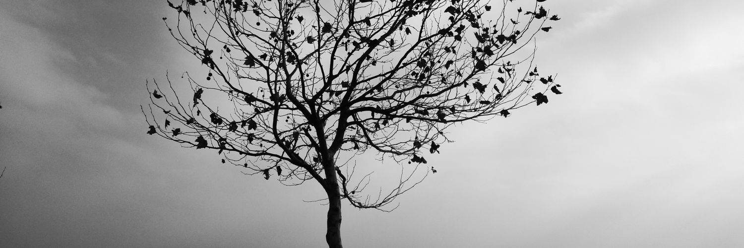 ozumdekigibi's profile banner image